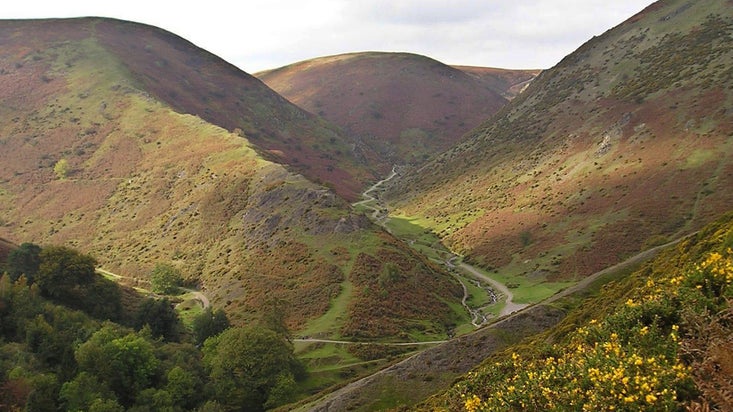 A gorsey valley with footpath